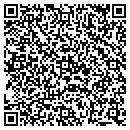 QR code with Public Storage contacts