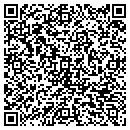 QR code with Colors Paradise Corp contacts