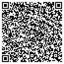 QR code with Public Storage contacts