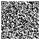 QR code with Public Storage contacts