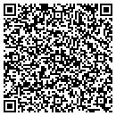 QR code with Public Storage contacts