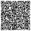 QR code with Public Storage contacts