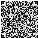 QR code with Public Storage contacts