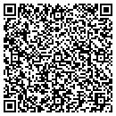QR code with Chapin Orchards LLC contacts