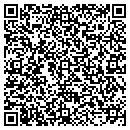 QR code with Premiere Self Storage contacts