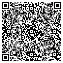QR code with Public Storage contacts