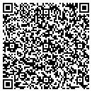 QR code with Public Storage contacts