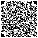 QR code with Public Storage contacts