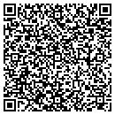 QR code with Public Storage contacts