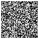 QR code with Pyramid Storage Inc contacts