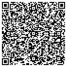 QR code with Bridgeview Self Storage contacts