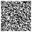 QR code with Public Storage contacts