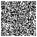 QR code with Public Storage contacts