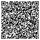 QR code with Primitiveartpa contacts
