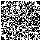 QR code with Pulau Electronics Corp contacts
