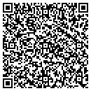 QR code with Public Storage contacts