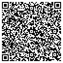QR code with Public Storage contacts