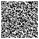 QR code with Public Storage contacts