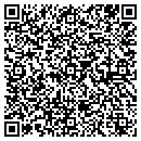 QR code with Cooperstown Twp Clerk contacts