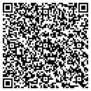 QR code with Public Storage contacts