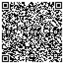 QR code with Colley Julie Ann 100 contacts