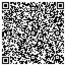 QR code with Christine M Kauffman contacts