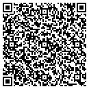 QR code with Public Storage contacts