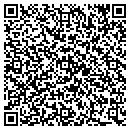 QR code with Public Storage contacts