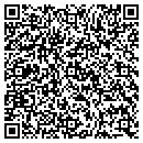 QR code with Public Storage contacts