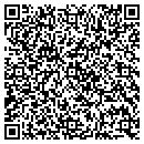 QR code with Public Storage contacts