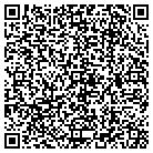 QR code with Bacchiochi Jr James contacts