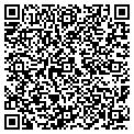QR code with Magnin contacts