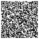 QR code with Public Storage contacts