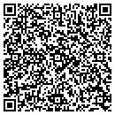 QR code with Public Storage contacts