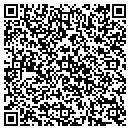 QR code with Public Storage contacts