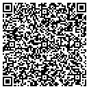 QR code with Public Storage contacts