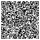 QR code with Public Storage contacts