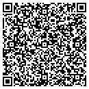 QR code with Colonial Self Storage contacts