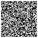 QR code with Pyne Hill Realty contacts