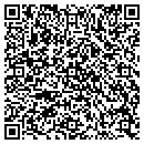 QR code with Public Storage contacts