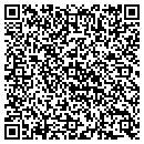 QR code with Public Storage contacts