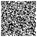 QR code with Public Storage contacts