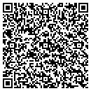QR code with Public Storage contacts