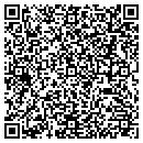 QR code with Public Storage contacts