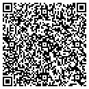 QR code with Public Storage contacts