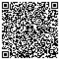 QR code with Magnin contacts
