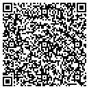 QR code with Public Storage contacts