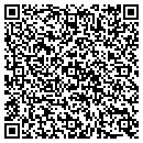 QR code with Public Storage contacts