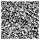 QR code with Public Storage contacts
