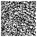 QR code with Public Storage contacts